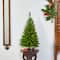 3ft. Pre-Lit Providence Pine Artificial Christmas Tree, Warm White LED Lights